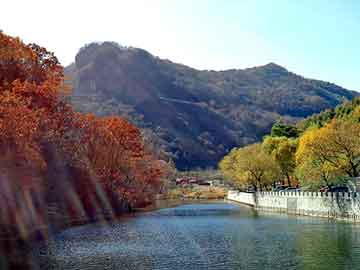 管家婆黑白马报图库，菜鸟黑客教程